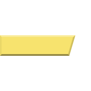 Nydoo Mining Group Junior Captain rank logo